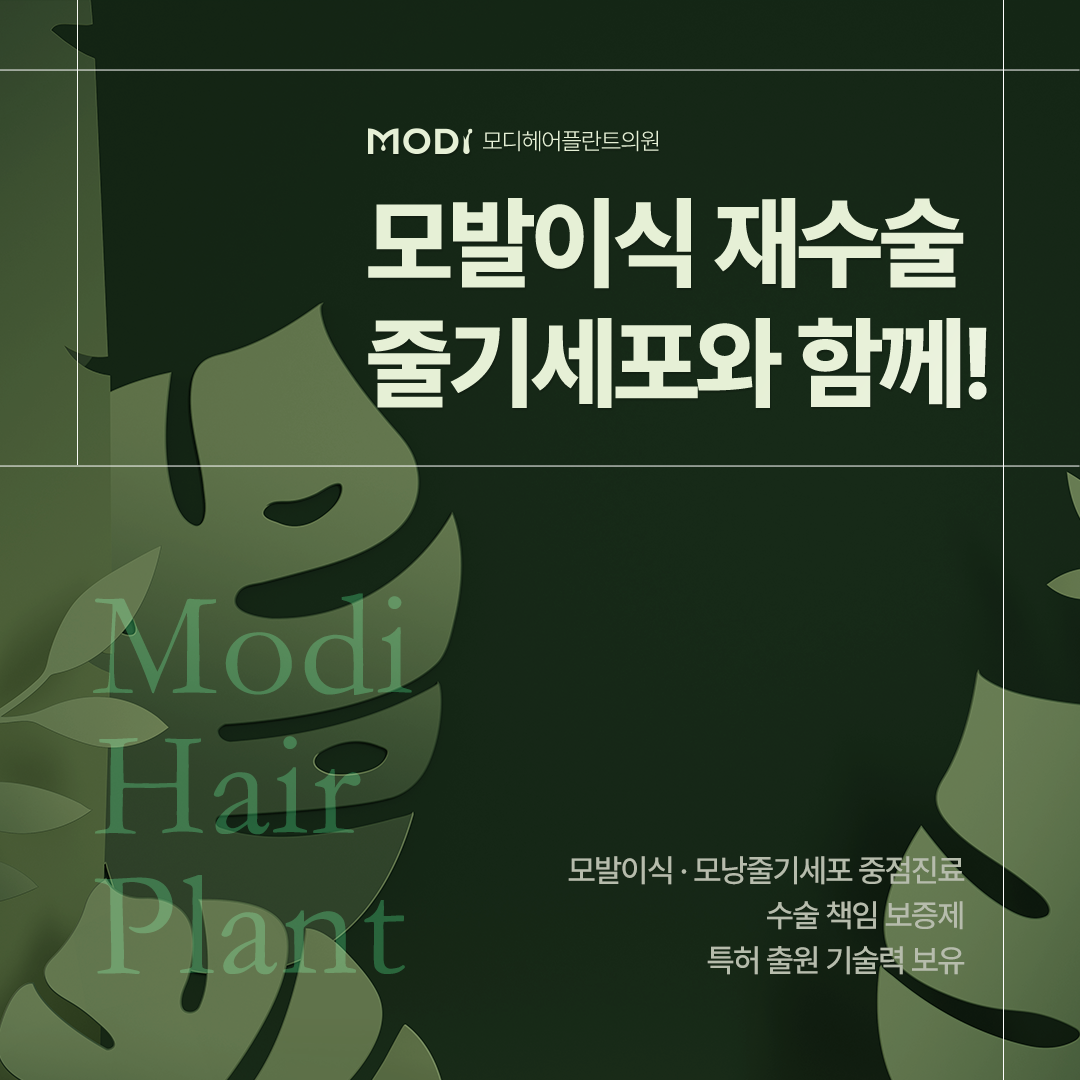 강남 모발이식 재수술 후 만족도를 높이는 모낭줄기세포치료